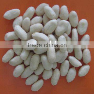 2013 corp white Blanched Peanut kernel in long shape