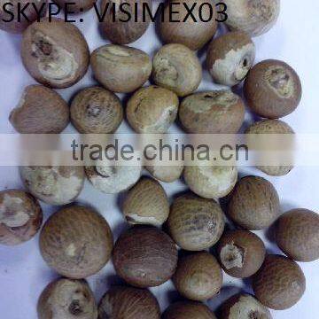 BETEL NUT photo-2