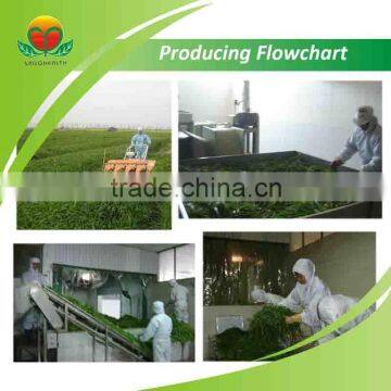 Most Popular Oat Grass Juice Powder