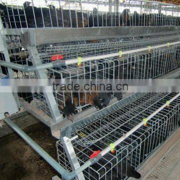 Poultry Battery Cage for Nigeria Farm