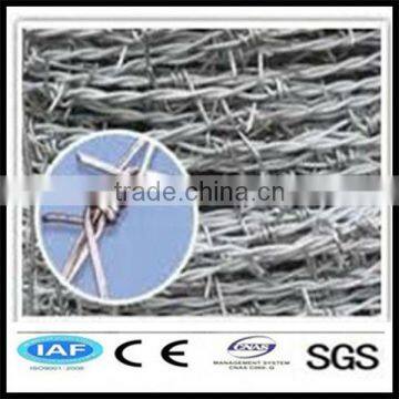 galanized barbed fence(factory)