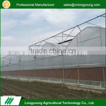 Wholesale custom economical large growers greenhouse farm for sale