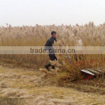 Hot Sale Mini Reed Harvesting Machine photo-3