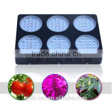 Low Price Aaa Quality High Power Led Garden Light From Shenzhen Factory