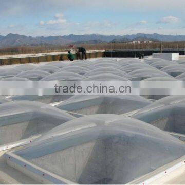 Transparent Polycarbonate Sklight photo-3