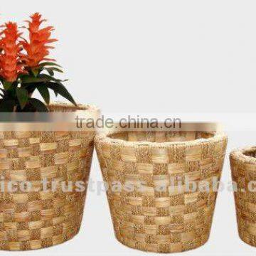 water hyacinth flower planters/ Indoor Flower pots 2012