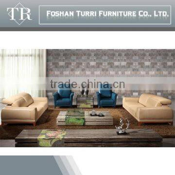 Modern Luxury Design Geniune Leather Sofa Set