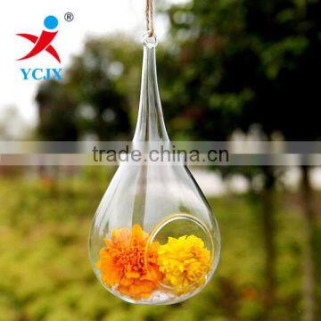 Hanging Clear Glass Hand Crafts Terrarium