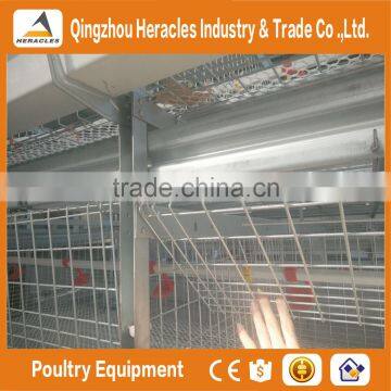 Heracles Trade Assurance Layer Chicken Cage-- 3 Layers Chicken Poultry Farm Equipment photo-6