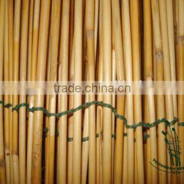 Natural Fern Fence photo-2