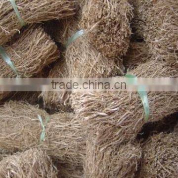 Vetiveria Zizanioides photo-4