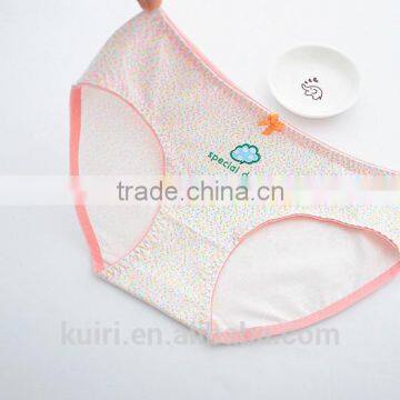 Manufacturer Good Price Teen Girls Underwear Students Cotton Cartoon Briefs Pants photo-2