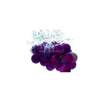 Grape Seed Extract/Procyanidins/Polyphenols Grape Seed Extract/Procyanidins/Polyphenols