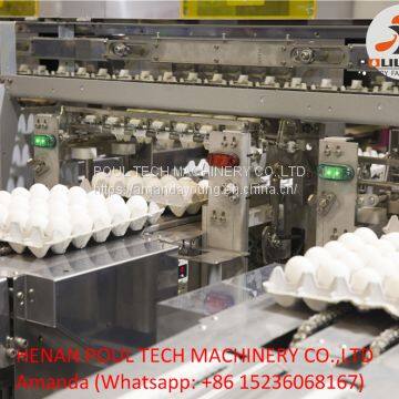 Poultry Farming Automatic Chicken Egg Grading Sorting Machine for Sale