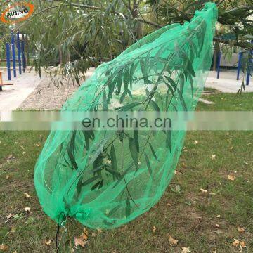 Green PE plastic date palm cover bag with strong black rope