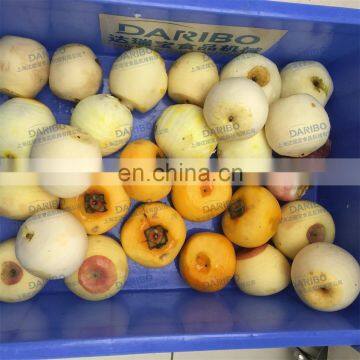 Hot Selling Multifunction Fruit Persimmon/Mango/Kiwifruit Peeler Machine With High Quality photo-3