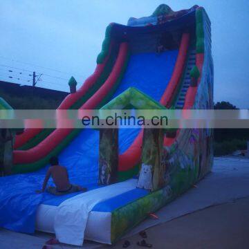 Newest Design Top Quality Inflatable Water Slide For Adult photo-5