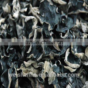 Black Fungus