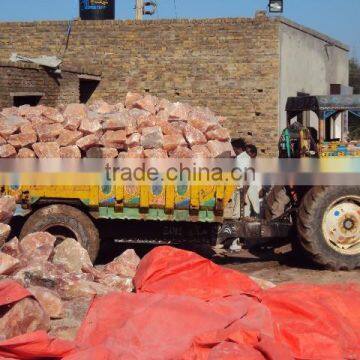 Himalayan Salt Lick - Animal Special photo-6