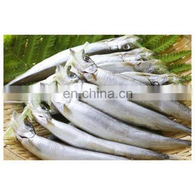 Wholesale frozen one night dried capelin fish with roe