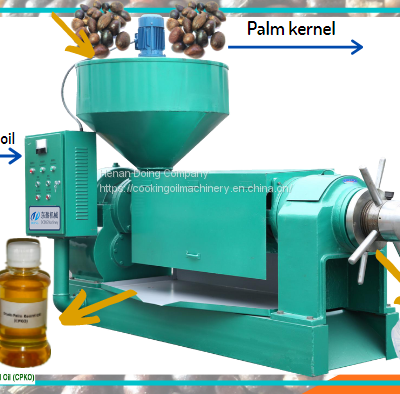 Good Feedback Palm Kernel Oil Making Machine Palm Kernel Oil Mill Plant Small Scale Palm Kernel Oil Crushing Machine