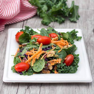 6” Bagasse Eco-Friendly Disposable Biodegradable Plates Sugarcane Bagasse Square Plates Oval Plates (500/ Case) photo-3