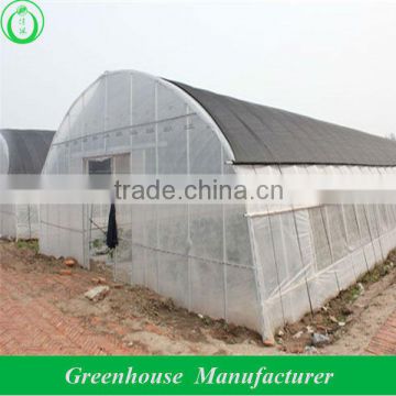 plastic film tunnel greenhouse