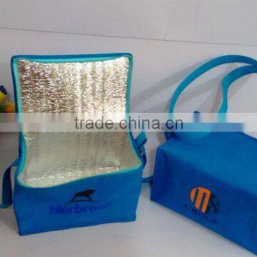 Silk printing Non woven cooler bag in size 15cm x 15cm x 25cm