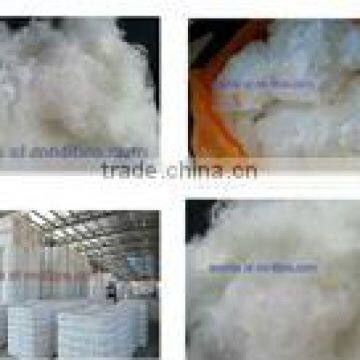 Polyester staple fibre fiber /PSF