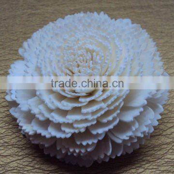 Sola flower for decoration