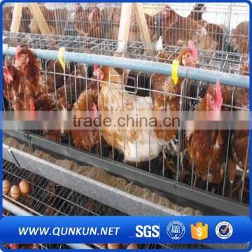 Chicken and Poultry Farming Use Type Poultry Farming Equipment photo-4