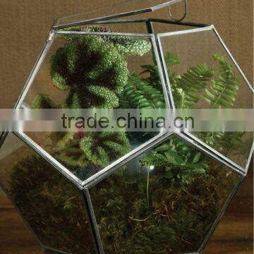 Big Glass Box, Storage Box, Display box, Display Box