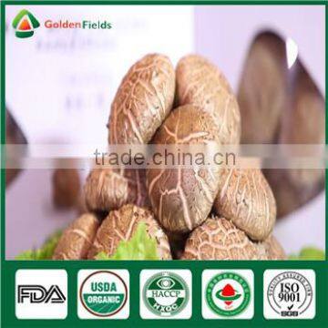 China Manufacturer Supply Organic Dried Fresh Shiitake Mushroom