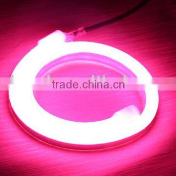 Architectual LED Neon Lighting