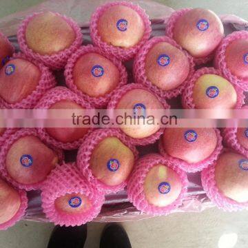 Famous Apples photo-2