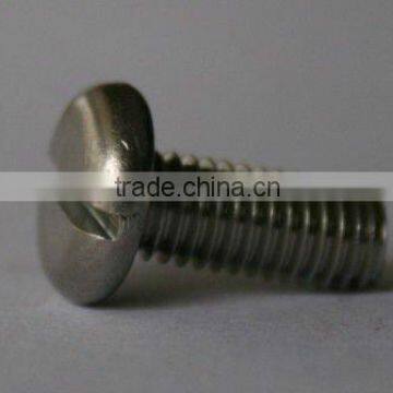 DIN85 Slotted pan head screws