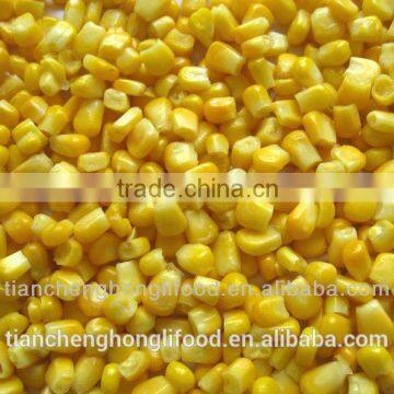 Wholesale IQF Sweet Corn Kernel