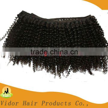 Afro Kinky Human Hair Weft