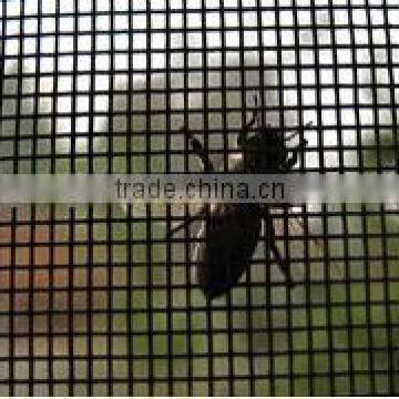 Hebei factoryprice high quality window insect screen
