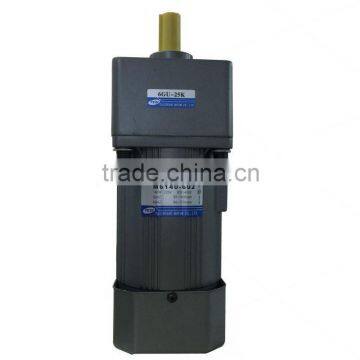AC Gear Induction Motor 110v/220v