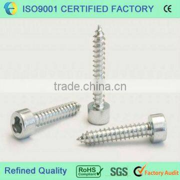 Socket head self tapping screw