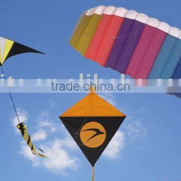 Various kinds of flying kites