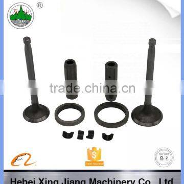 China Tractor Engine Parts S1105 Valve Spring Valve Parts For Sale