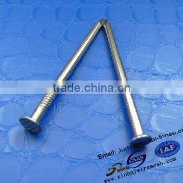 HOT SALE common nails/common iron nail/common wire nail