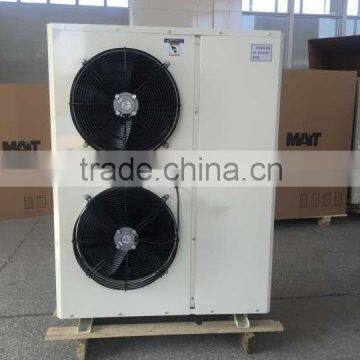 Freezer Condensing Unit With Various Brand Compressor
