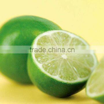 Citrus Aurantium Extract