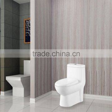 Online Shopping Ceramic Washrooms One Piece Toilet photo-3