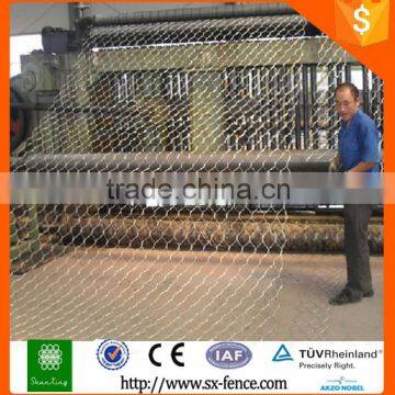 Supply galvanized or PVC coated hexagonal wire mesh/hexagonal wire netting /chicken mesh with best price