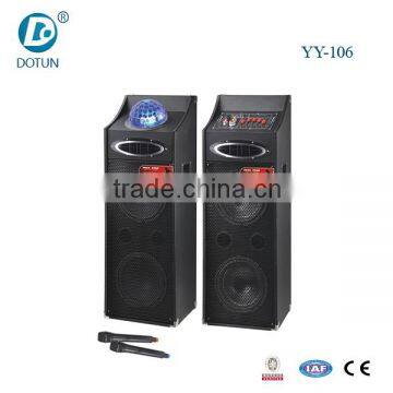 10 inch professionalbig power for stage home theatre with wireless microphone and remote LED light