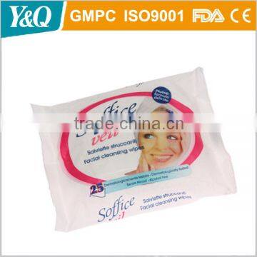 Girls Hair Color Remover Wipes